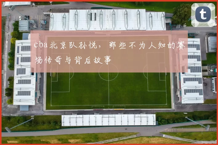 cba北京队孙悦,那些不为人知的赛场传奇与背后故事