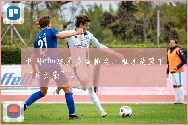 中国cba球员身高排名，谁才是篮下“巨无霸”？