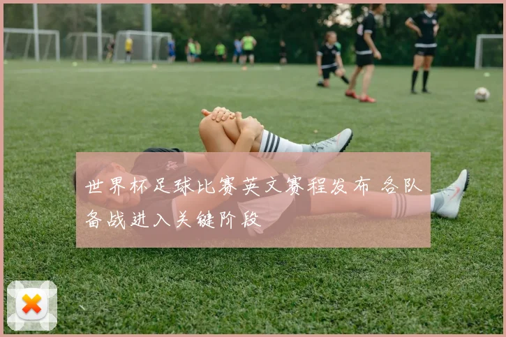 世界杯足球比赛英文赛程发布 各队备战进入关键阶段