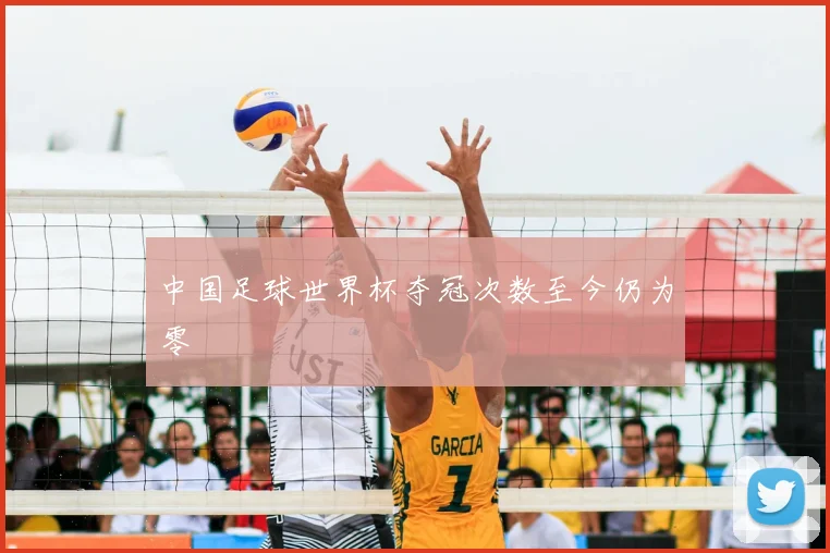 中国足球世界杯夺冠次数至今仍为零